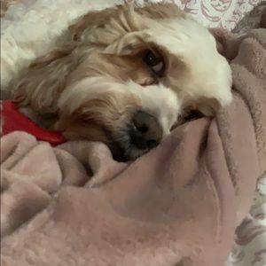 Meet your Posher, Jeanne